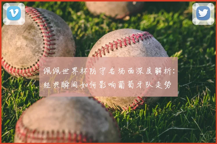 佩佩世界杯防守名场面深度解析：经典瞬间如何影响葡萄牙队走势