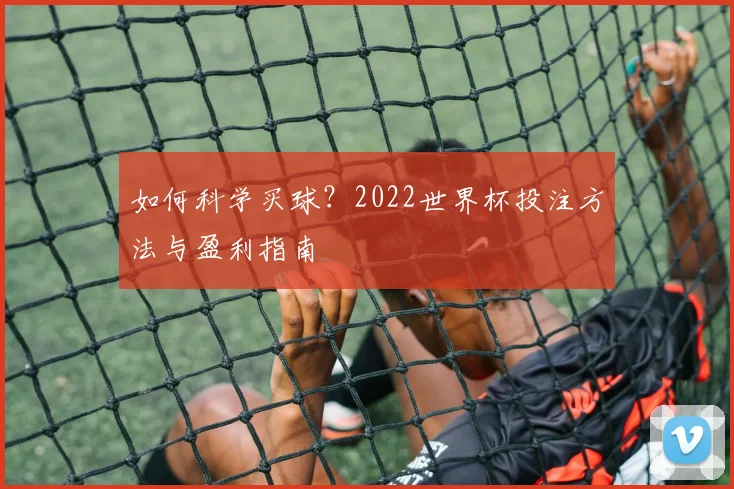 如何科学买球？2022世界杯投注方法与盈利指南