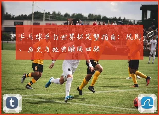 乒乓球单打世界杯完整指南：规则、历史与经典瞬间回顾