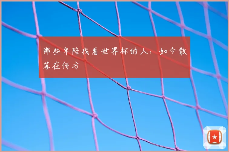 那些年陪我看世界杯的人，如今散落在何方