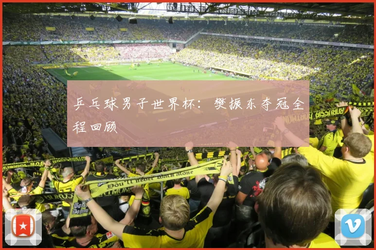 乒乓球男子世界杯：樊振东夺冠全程回顾