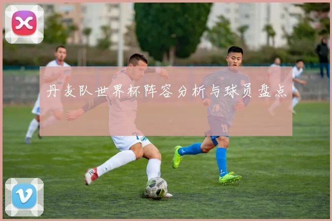 丹麦队世界杯阵容分析与球员盘点