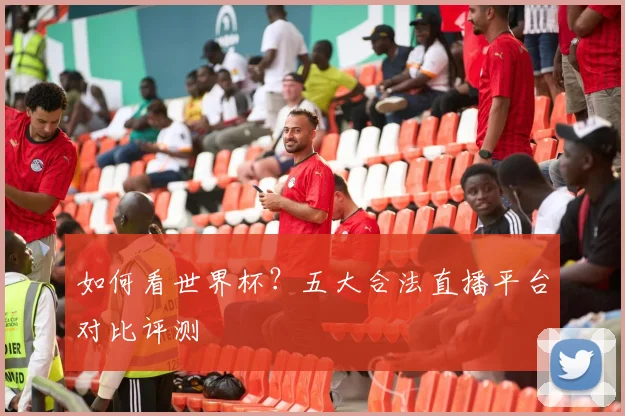 如何看世界杯？五大合法直播平台对比评测