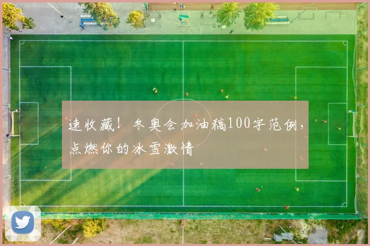 速收藏！冬奥会加油稿100字范例，点燃你的冰雪激情